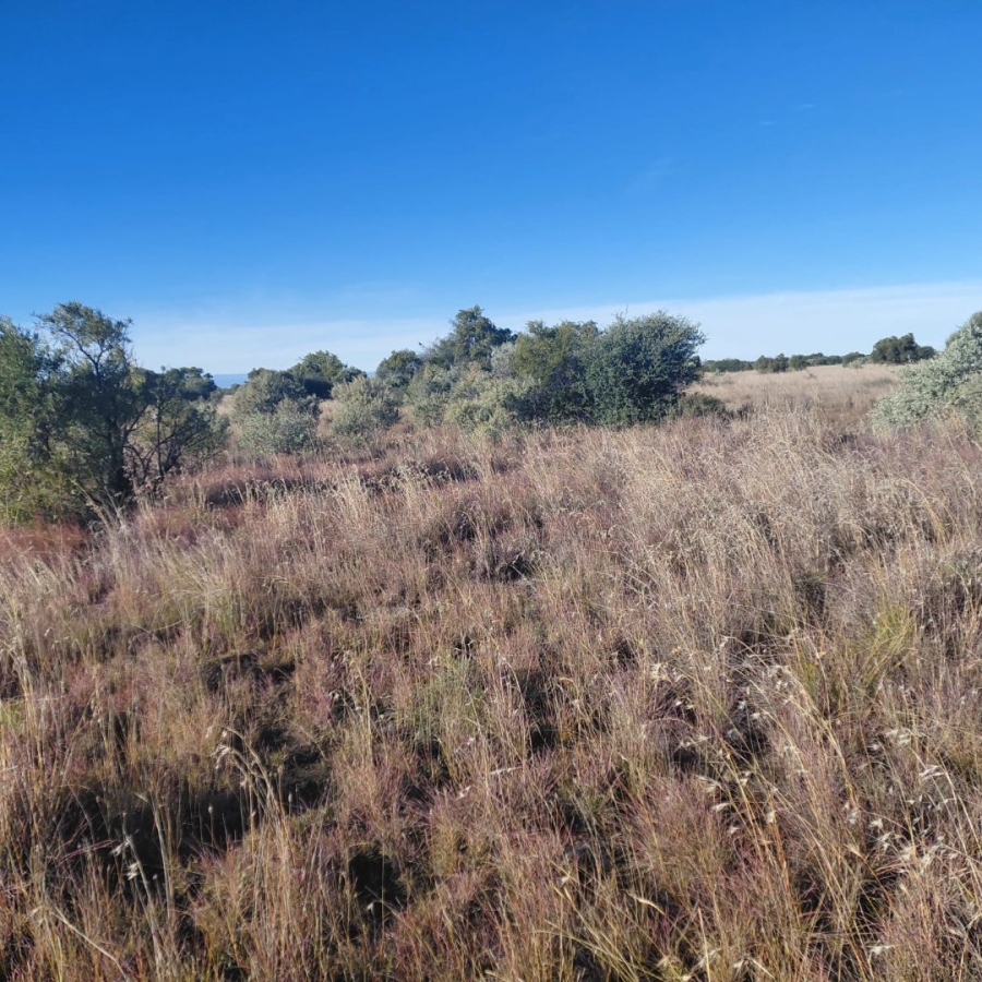 Commercial Property for Sale in Barkly West Rural Northern Cape